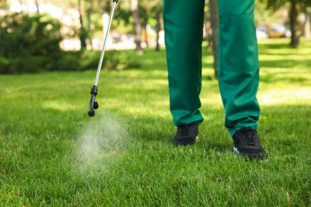 Best Affordable Pest Control Services  in Lomita, CA